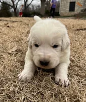 processed/b88294f3-1538-44f0-8121-67da5f318525/listing/67c3ab13-a734-43a1-8894-c026f8b2a8f1/03f340bc-7cc3-4eaf-8746-1dbf7d40c0aa