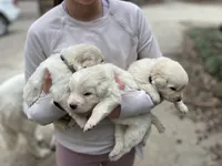 processed/b88294f3-1538-44f0-8121-67da5f318525/listing/67c3ab13-a734-43a1-8894-c026f8b2a8f1/3ac2e2ee-7112-44ff-a015-871f9dfe1bfb