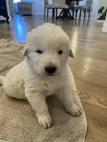 processed/b88294f3-1538-44f0-8121-67da5f318525/listing/79112c02-4768-4109-a20c-a1b05f51e813/1deedff3-9ea9-4658-b59d-98185ba68665