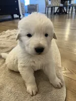 processed/b88294f3-1538-44f0-8121-67da5f318525/listing/79112c02-4768-4109-a20c-a1b05f51e813/390042ec-8acc-4130-a549-04ddaf92dfd7