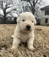 processed/b88294f3-1538-44f0-8121-67da5f318525/listing/79112c02-4768-4109-a20c-a1b05f51e813/6b3bfc70-f751-48fe-aa6d-08ee42d76689