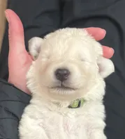 processed/b88294f3-1538-44f0-8121-67da5f318525/listing/79112c02-4768-4109-a20c-a1b05f51e813/87232685-c4db-45f2-8736-4f94bcfd2802