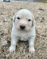 processed/b88294f3-1538-44f0-8121-67da5f318525/listing/7c58a404-ceba-4aa9-8bcc-9b128c720c51/c31f78dd-d952-4793-b1a0-2fbd2019e991