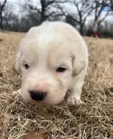 processed/b88294f3-1538-44f0-8121-67da5f318525/listing/a5d72f78-d6f9-4d34-bc0f-5a99cd9baa47/0de91be9-9017-4de1-aff7-4ed8fc722cc3