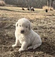 processed/b88294f3-1538-44f0-8121-67da5f318525/listing/ec8041ba-1bd6-44e1-bace-795aba33723b/8c2040f7-f512-4cc4-be1e-9a2640c71cf0