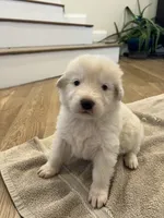 processed/b88294f3-1538-44f0-8121-67da5f318525/listing/f187eeb6-3f3d-4340-9410-6f408cc24c1c/d469b050-964f-4641-ba7f-b16e71a7fb2c