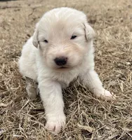 processed/b88294f3-1538-44f0-8121-67da5f318525/listing/f187eeb6-3f3d-4340-9410-6f408cc24c1c/ef178582-fbec-4623-9cdb-3bc5cd8503ac