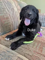 processed/b885d5af-4298-4aea-8660-57739604e692/listing/45cfbd90-120e-49d9-947f-9571967e1157/680c90e6-2ccd-4618-be1d-70b5567e86db