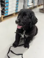 processed/b885d5af-4298-4aea-8660-57739604e692/listing/c06578dc-862a-42e2-b860-9961037889b3/456abc17-1e43-45c2-aa8b-13aa5f639a06