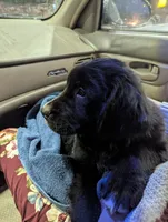 processed/b885d5af-4298-4aea-8660-57739604e692/listing/c06578dc-862a-42e2-b860-9961037889b3/8e4d86ef-43d9-40fb-88cd-9cddeeca4f67