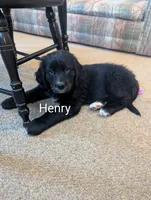 processed/b885d5af-4298-4aea-8660-57739604e692/listing/c06578dc-862a-42e2-b860-9961037889b3/a1d7a294-519b-424d-a667-2f032406e024