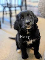 processed/b885d5af-4298-4aea-8660-57739604e692/listing/c06578dc-862a-42e2-b860-9961037889b3/b83f187b-519e-45d7-8815-5ee5b6d32b87