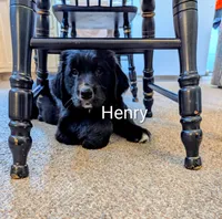 processed/b885d5af-4298-4aea-8660-57739604e692/listing/c06578dc-862a-42e2-b860-9961037889b3/c00a07b6-91a8-45ac-8df8-4f2e9211911b