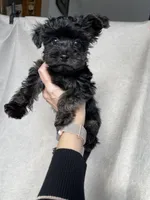 processed/b88bab9d-f7e4-46f4-9faa-ba46dd0f8c7e/facility/05b484d5-89ea-4919-bca1-16cb8f8aae7b