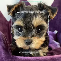 processed/b88bab9d-f7e4-46f4-9faa-ba46dd0f8c7e/facility/09f6e9cc-2850-4e3f-a0fe-61422f5ecd0d