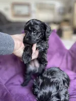 processed/b88bab9d-f7e4-46f4-9faa-ba46dd0f8c7e/facility/b3d79a12-fe71-450a-902e-d577e66d144d