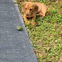 processed/b8913532-aa7d-41c9-a63b-db30c727ab59/facility/11a6f19f-d5f3-4752-9556-b2fa210fd8ad