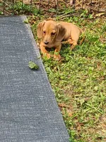 processed/b8913532-aa7d-41c9-a63b-db30c727ab59/facility/11a6f19f-d5f3-4752-9556-b2fa210fd8ad