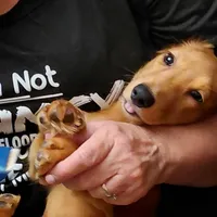 processed/b8913532-aa7d-41c9-a63b-db30c727ab59/facility/5ca833bb-4d0b-466e-8507-2fb68b553864