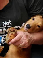 processed/b8913532-aa7d-41c9-a63b-db30c727ab59/facility/5ca833bb-4d0b-466e-8507-2fb68b553864