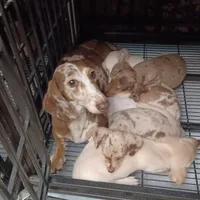 processed/b8913532-aa7d-41c9-a63b-db30c727ab59/facility/7c8165a4-5233-4d2d-8ec1-402bd16dd497