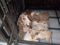 processed/b8913532-aa7d-41c9-a63b-db30c727ab59/facility/7c8165a4-5233-4d2d-8ec1-402bd16dd497