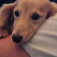 processed/b8913532-aa7d-41c9-a63b-db30c727ab59/facility/832ce3bd-745e-48c0-bf61-c3571338f2a3