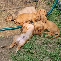 processed/b8913532-aa7d-41c9-a63b-db30c727ab59/facility/91fcdf9e-965a-449a-926c-a7fe83c44828