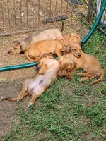 processed/b8913532-aa7d-41c9-a63b-db30c727ab59/facility/91fcdf9e-965a-449a-926c-a7fe83c44828