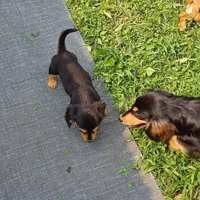 processed/b8913532-aa7d-41c9-a63b-db30c727ab59/facility/a644c34b-b2c0-45b6-b5ca-8c5810ccaebf