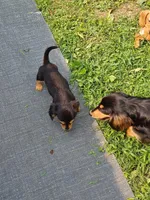 processed/b8913532-aa7d-41c9-a63b-db30c727ab59/facility/a644c34b-b2c0-45b6-b5ca-8c5810ccaebf