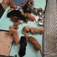 processed/b8913532-aa7d-41c9-a63b-db30c727ab59/facility/b86e7b08-b1e8-4214-bff3-928c4681d41d