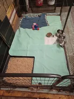 processed/b8913532-aa7d-41c9-a63b-db30c727ab59/facility/d4415edc-6c1a-4ef9-aac1-b69e8e779130