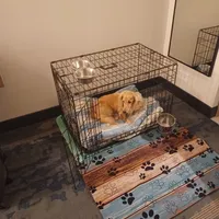 processed/b8913532-aa7d-41c9-a63b-db30c727ab59/facility/f4e2022b-37d6-4463-9667-e6ab27bfbe93