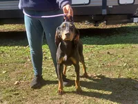 processed/b8913532-aa7d-41c9-a63b-db30c727ab59/listing/6f5c8743-f6b3-4b5b-824d-a2bad2d18109/153c105b-e4c7-4281-b6ab-d107484d7c1c