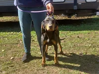 processed/b8913532-aa7d-41c9-a63b-db30c727ab59/listing/6f5c8743-f6b3-4b5b-824d-a2bad2d18109/276fa089-f0e3-4773-9d12-8b90e0246c19