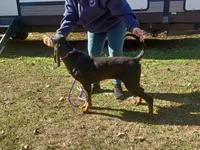 processed/b8913532-aa7d-41c9-a63b-db30c727ab59/listing/6f5c8743-f6b3-4b5b-824d-a2bad2d18109/670fa8ca-79dc-46ef-acab-b52c4ffc37e0