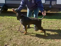 processed/b8913532-aa7d-41c9-a63b-db30c727ab59/listing/6f5c8743-f6b3-4b5b-824d-a2bad2d18109/a6fa2fc5-deef-4511-82eb-e3c41e31eeed