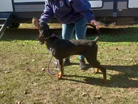 processed/b8913532-aa7d-41c9-a63b-db30c727ab59/listing/6f5c8743-f6b3-4b5b-824d-a2bad2d18109/c5a209ce-4e57-49ba-984e-46ded3730536