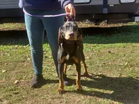 processed/b8913532-aa7d-41c9-a63b-db30c727ab59/listing/6f5c8743-f6b3-4b5b-824d-a2bad2d18109/d0e677fa-8983-4b7b-9633-c2dd0531bd4e