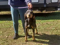 processed/b8913532-aa7d-41c9-a63b-db30c727ab59/listing/6f5c8743-f6b3-4b5b-824d-a2bad2d18109/f0cc1ad9-2aed-4789-aed6-7ed8bc9b24c0