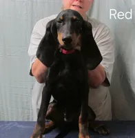 processed/b8913532-aa7d-41c9-a63b-db30c727ab59/listing/b73bcd7c-4e31-4aee-826f-4874e48f2fa5/c43508fc-aeea-4052-a7c7-f602401e0c4d