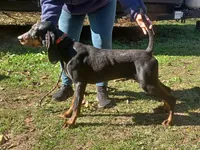 processed/b8913532-aa7d-41c9-a63b-db30c727ab59/listing/b73bcd7c-4e31-4aee-826f-4874e48f2fa5/c5a30adc-5d7e-44fd-9d76-038f5963d365