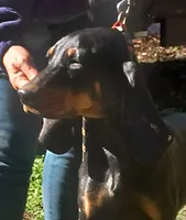 processed/b8913532-aa7d-41c9-a63b-db30c727ab59/listing/b73bcd7c-4e31-4aee-826f-4874e48f2fa5/d689963d-03d6-4b25-a123-0ef7e3dad8db