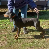 processed/b8913532-aa7d-41c9-a63b-db30c727ab59/listing/b73bcd7c-4e31-4aee-826f-4874e48f2fa5/f6faae58-74bd-47e7-a52f-b110f5fd7fc9