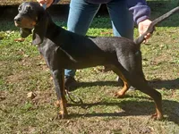 processed/b8913532-aa7d-41c9-a63b-db30c727ab59/listing/d71df86f-8cfb-4e26-b330-da5229082c57/05442071-04b5-4077-ba97-0d3b30203972