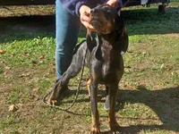 processed/b8913532-aa7d-41c9-a63b-db30c727ab59/listing/d71df86f-8cfb-4e26-b330-da5229082c57/22c4ad4f-49b4-4c22-9262-f853c4b96e12