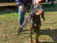 processed/b8913532-aa7d-41c9-a63b-db30c727ab59/listing/d71df86f-8cfb-4e26-b330-da5229082c57/255a4f8e-7dea-4c6e-935f-8e9a91e5bbd9