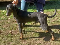 processed/b8913532-aa7d-41c9-a63b-db30c727ab59/listing/d71df86f-8cfb-4e26-b330-da5229082c57/2875c71f-08d4-4203-9061-25e37a7e8b76