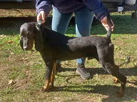 processed/b8913532-aa7d-41c9-a63b-db30c727ab59/listing/d71df86f-8cfb-4e26-b330-da5229082c57/47c0349e-10f5-4ca8-8d8e-812b0bf0f77a